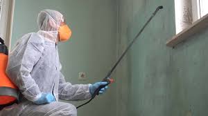 Best Emergency Mold Remediation  in Hughson, CA