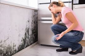 Mold Documentation for Insurance Claims in Hughson, CA